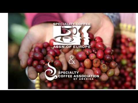 SCAE -  SCAA Unification VIDEO
