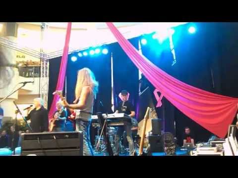 Václav Neckář - Stín katedrál