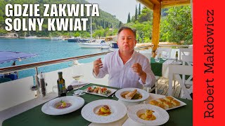 Gdzie zakwita solny kwiat. (odc. 192)