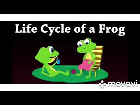 level4 science part4