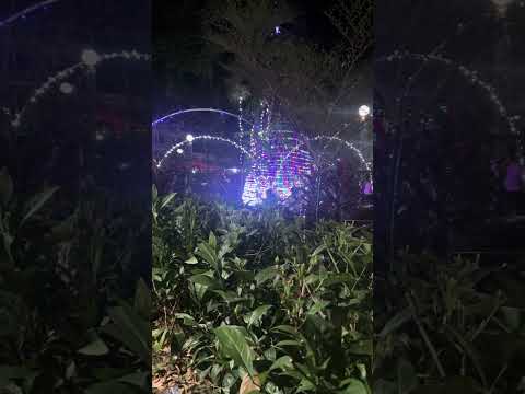 luces navideñas en el parque de tecapan Usulután 2025