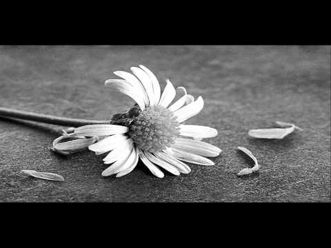 Rieck ft. Zebys - Sagen und sein ?!