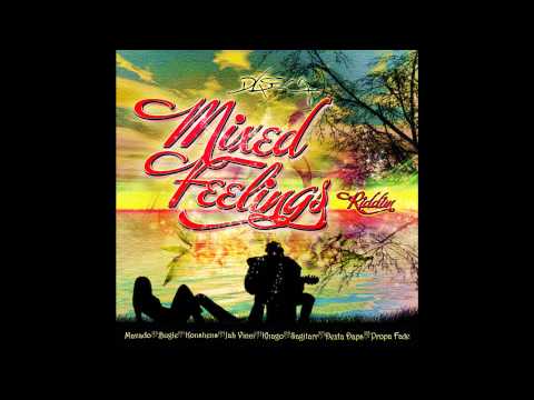 DJ Hollywood Mixed Feelings Riddim Mix [DASECA PRODUCTIONS/NOVEMBER 2013]