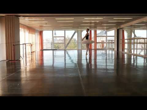 Le Corsaire Act III.: Gulnare