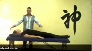 Reiki Hands on Healing Treatment Demo with Frans Stiene
