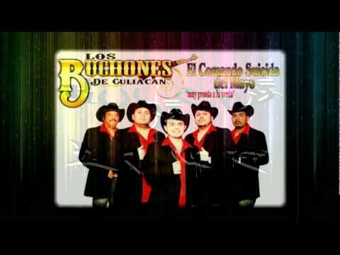 BUCHONES DE CULIACAN EL COMANDO SUICIDA DEL MAYO