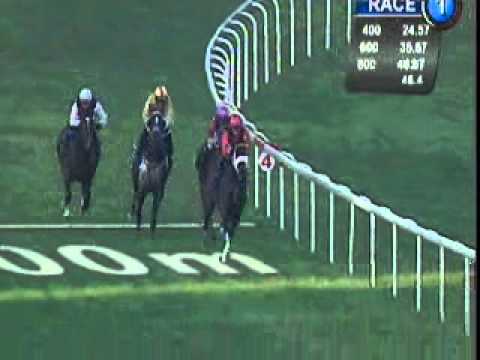 Singapore Race Horse - Rocket Man 14th Run 15/10/2010