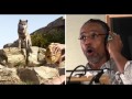 Disney S THE JUNGLE BOOK Featurette Voices Of The Jungle In Cinemas Now