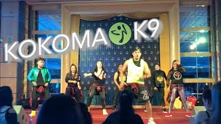 Download lagu KOKOMA - K9 | Zumba®️ | Raphael | Dubai All Starz | Choreo By William Flores mp3 Download lagu KOKOMA - K9 | Zumba®️ | Raphael | Dubai All Starz | Choreo By William Flores mp3