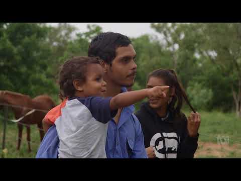 download lagu mp3 mp4 Indigenous Australian Movies, download lagu Indigenous Australian Movies gratis, unduh video klip Indigenous Australian Movies