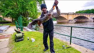 Catching HUGE Flathead Catfish On My E-Bike ! | HiKnight H6 Pro