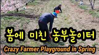 봄에 미친 농부놀이터 Crazy Farmer Playground in Spring