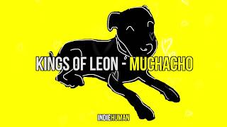 Kings Of Leon - Muchacho | Subtítulos en Español