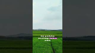 Download lagu Kindness is rewarded many times over. #sotrs #reflectiononlife #selfreflection #heartreflection mp3