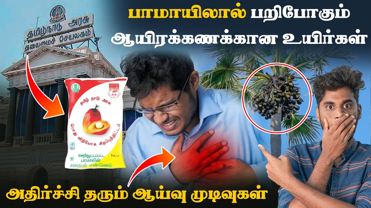 😱😨பாமாயில் பற்றி அதிகம் பேசப்படாத உண்மைகள்! | Palm plantation 