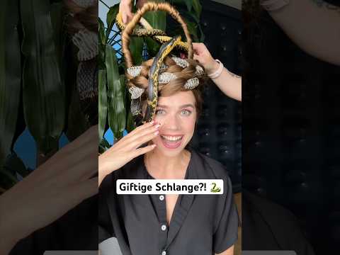 Die gefährlichsten Frisuren, die ich je getragen habe 👀 Welche ist euer Favorit? 🤗
