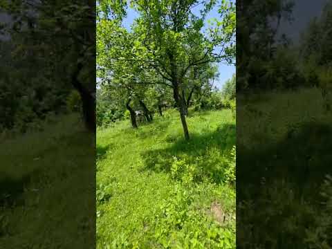 OPORTUNITATE INVESTIȚIE TURISTICĂ | Panoramă de Vis &amp; Potențial Imens A-Frame — Video