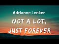NOT A LOT JUST FOREVER Adrianne Lenker Lyrics