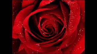 now sleeps the crimson petal