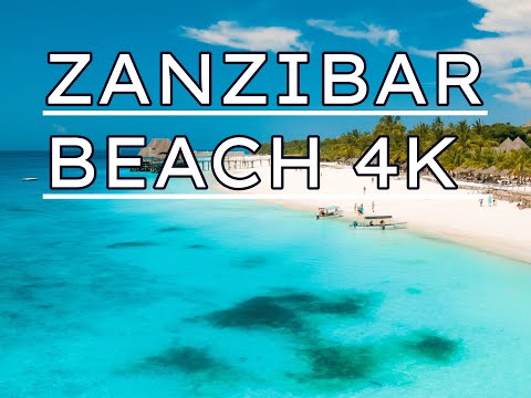 ZANZIBAR 4K SUNNY BEACH CHILLOUT LOUNGE AI MUSIC