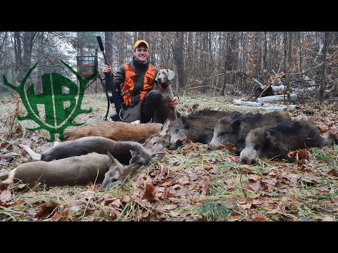 Traumdrückjagd 2022! - Hunter Brothers