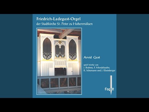 Organ Sonata in B-Flat Major, Op. 65 No. 4, MWV W 59: IV. Allegro maestoso e vivace