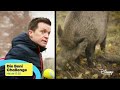 Die Beni Challenge Promo Mai 2023 Disney Channel Deutschland