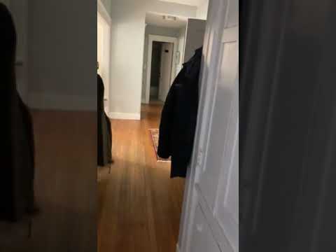 162 Thorndike St #1A Brookline MA 02446 property video