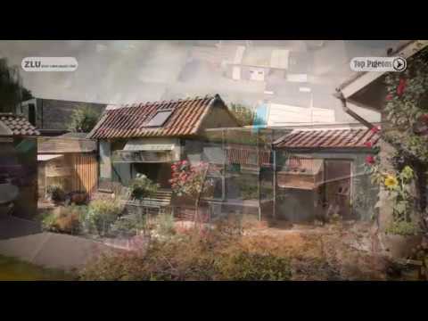 Nationale winnaar ZLU 2018 Perpignan - Jos Martens, Stein