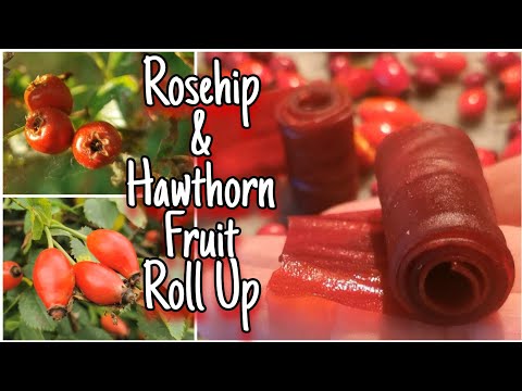 Rosehip & Hawthorn Fruit Roll Ups 🌹Healthy Wild Food Treats