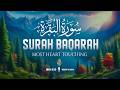 Surah Al Baqarah سورة البقره World S Most Beautiful Recitation Emotional Voice WQ