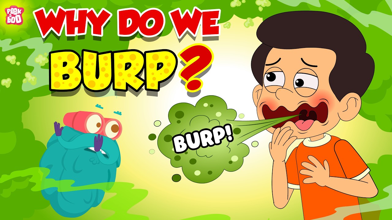 Is Burping Rude Practice Shadowing: Why Do We Burp? | How Burping Occurs? | Is Belching ...