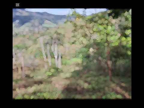 Imagen de Venta de Lotes y Terrenos en La suiza - Turrialba La Suiza - CARTAGO