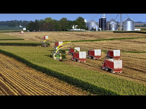 From Field to Feed: The 2024 Corn Silage Marathon at Stone Ridge Dairy