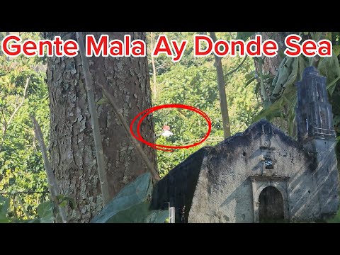 En Busca De Iglesia Abandonada Entre El Monte Avía Personas Aciendo Algo 