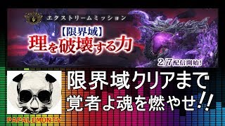DDON 理を破壊戦する力【限界域】クリアして号泣するぞパート２【PAPALEMONTV】