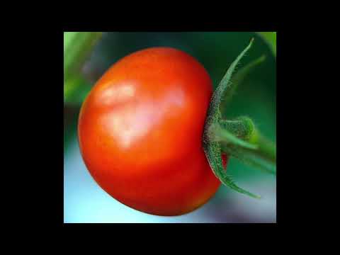 Mindme, Matt Bloyd - What Do You Want? (Teen Pop)