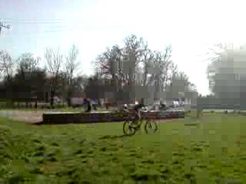 suedezu la padurea verde