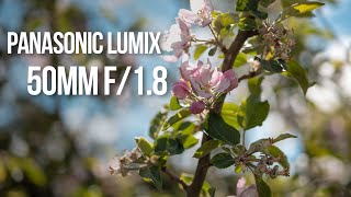 Video thumbnail for Panasonic Lumix 50mm f/1.8 Lens Review | L Mount Nifty Fifty by Park Cameras