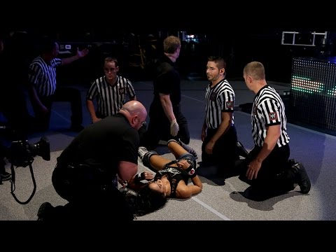 Paige attacks AJ Lee after her match with Rosa Mendes - WWE Smackdown Aug 01. 2014