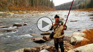 Рыбалка в сибири на хариуса осенью