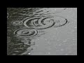 George Winston / Rain
