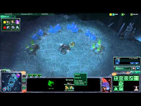 Catz vs PainUser  Game 2 Part 1/2 - ZvT - MLG DC 2010