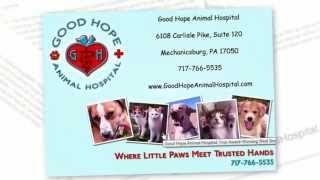 preview picture of video 'Good Hope Animal Hospital Reviews'