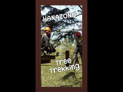 【北海道ニセコ】お子様と一緒にENJOY！HANAZONO Tree Trekking #shorts