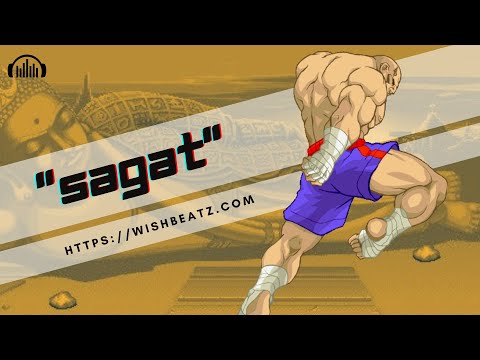 [FREE] Run The Jewels x JPEGMAFIA x Danny Brown Type Beat 2023 | "Sagat"
