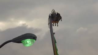 bob dylan and the band - ruben remus