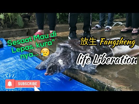 download lagu mp3 mp4 Fang Sheng Birth Of Sheng EP, download mp3 Fang Sheng Birth Of Sheng EP free download, download mp3 Fang Sheng Birth Of Sheng EP