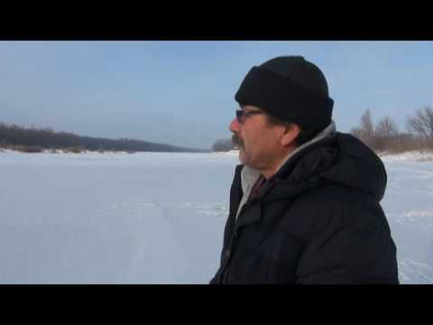 14.01.2017 / Știre Etv - SUTE DE LEBEDE, ÎN PERICOL!