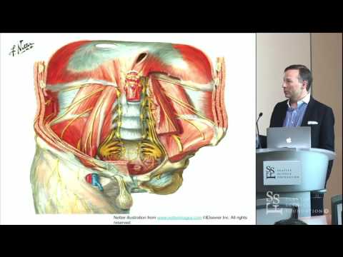 Salient Lumbar Neuroanatomy for Spinal Deformity Surgery